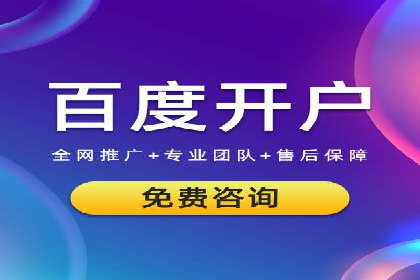 SEM主管实战案例：广告投放策略优化